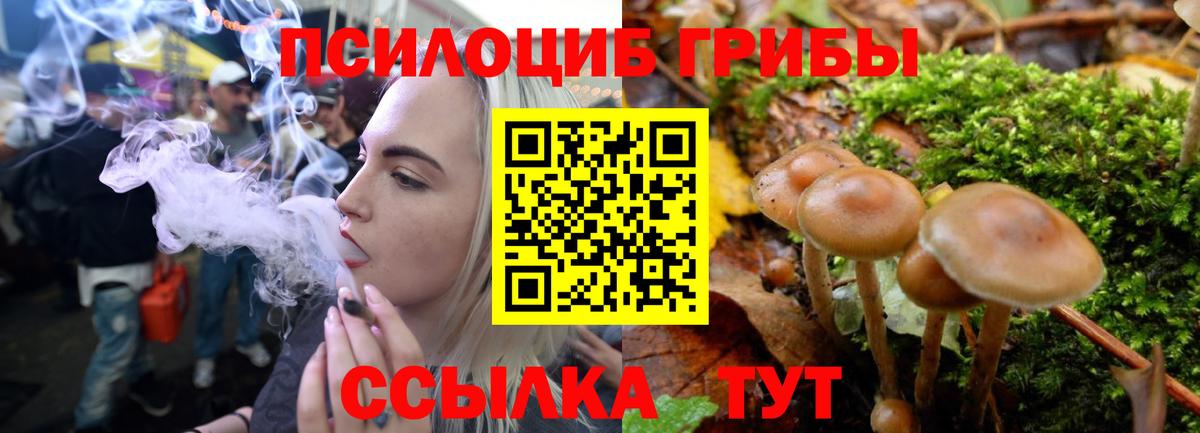 Касимов  Галлюциногенные грибы ЛСД  Вход с VPN 